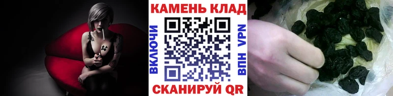 купить наркотик  Рыбное  Гашиш Premium 