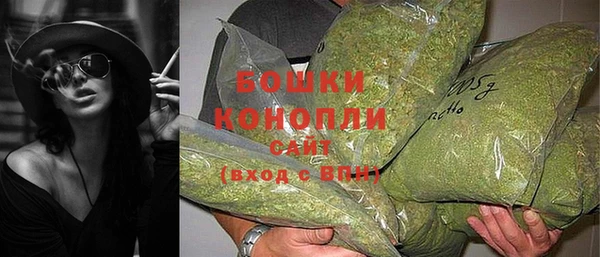 амф Мегион